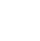 Twitter icon